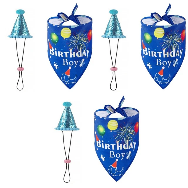Set Compleanno Cane - Cappello E Bandana Con Numeri Glitter Per Feste