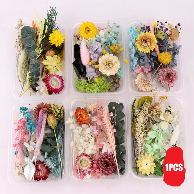 Dried Flowers Plants Pressed For Resin Jewellery Making Craft DIY Accessory