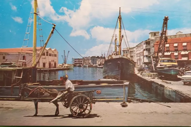 Cartolina - Barbados - West Indies - Bridgetown - Careenage (Old Docks) 1970 ca.