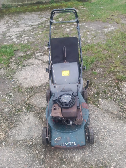 Hayter jubilee 2025 48