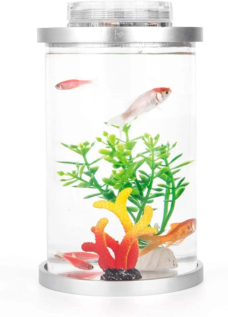 Mini Betta Fish Tank with LED System, Gallon Aquarium water Small Bowl Kit, Gift