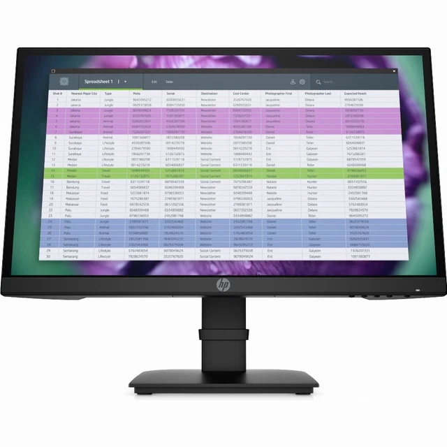 HP P22 G4 54,6 cm (21.5") 1920 x 1080 Pixel Full HD Schwarz