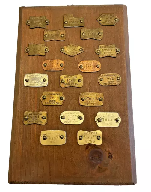 Dog Tags 20 Vintage 1930s - 1970s Lancaster Pennsylvania PA on Wood Board