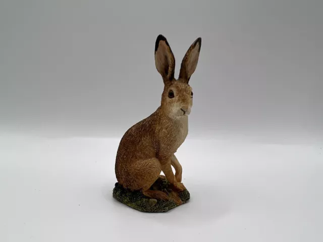 Border Fine Arts Society Hare ‘Field Study’ No. B0982