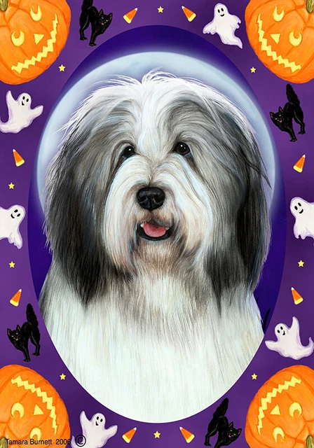 Halloween Garden Flag - Blue and White Bearded Collie 121701