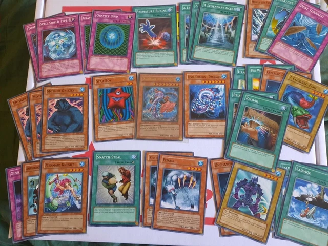 black rose deck yugioh Amazon.com: Yu-Gi-Oh! - Dragon's Rage (SD1-EN024) - Structure Deck 1: Dragon's  Roar - 1st Edition
