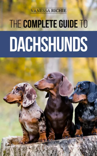 The Complete Guide to Dachshunds: - Paperback, Dog Owners Guide Book 2020