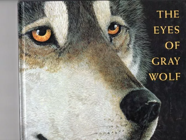 The Eyes of Gray Wolf-Jonathan London/Jon Van Zyle-1st. Ed. -1993-Free Shipping