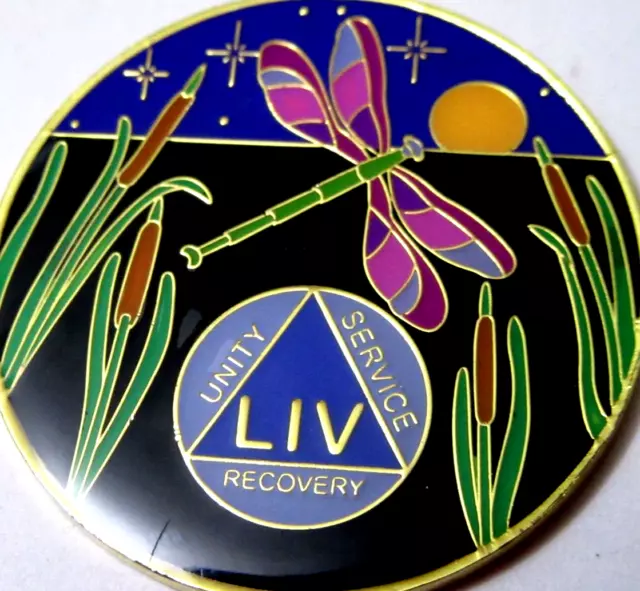 Moneda Medallón de Alcohólicos Anónimos Oro Negro Azul DragonFly AA 54 Años