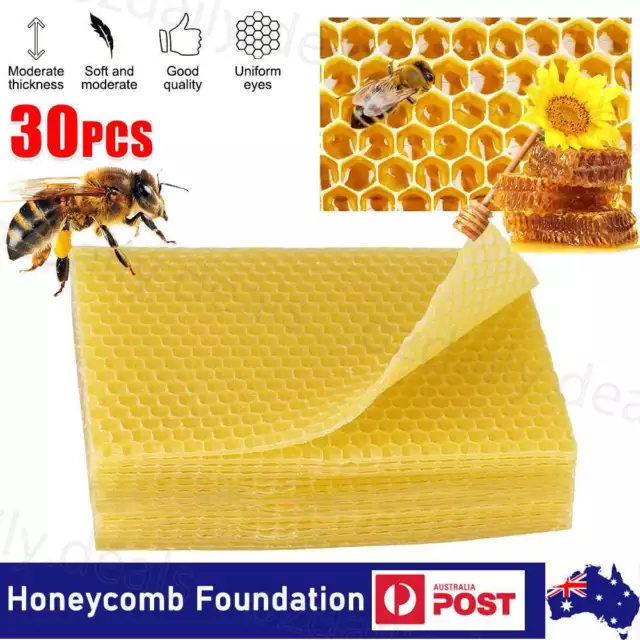 30Pcs Honeycomb Foundation Bee Hive Wax Frames Waxing Beekeeping Equipment New