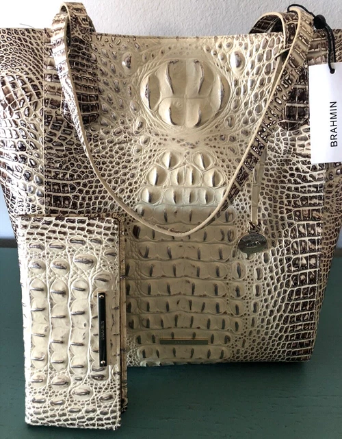 Brahmin jayden cheap