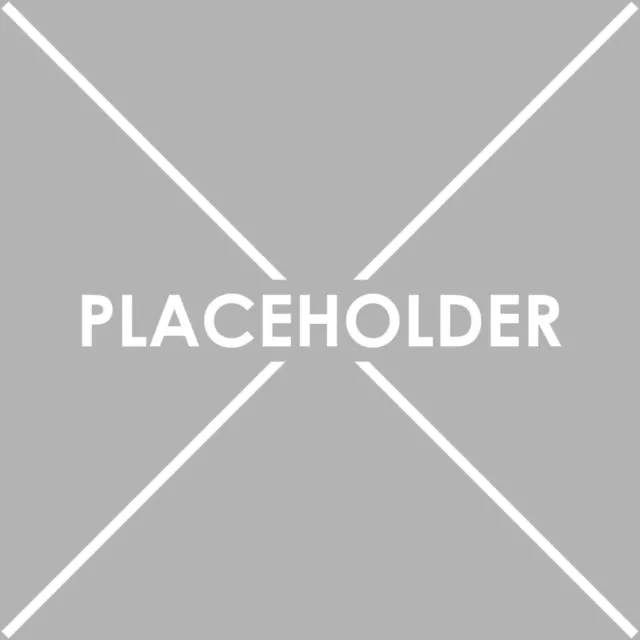 Placeholder 5