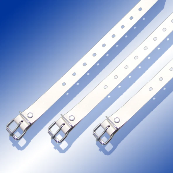 Schnallriemen Blanc Avec Geschweißter Rouleau de Boucle PVC Bache Ceinture