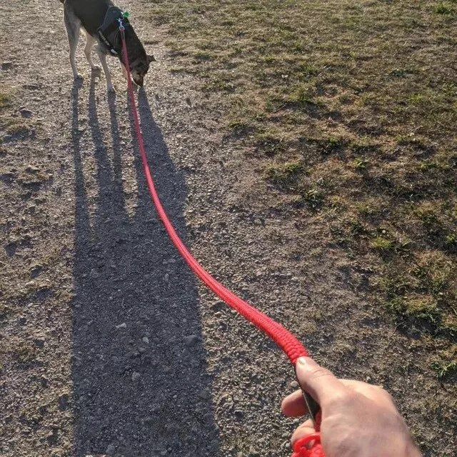 STRONG DOG EXTRA LONG 2 3 5 et plus laisse de plomb corde d'entraînement, clip de déclenchement CHAMP