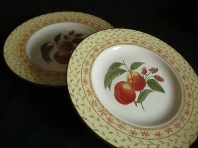 Johnson Brothers Fruit Sampler 2 x Salad plates 21 cm Great condition