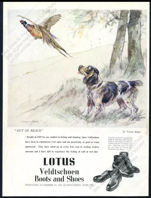 1949 dog & pheasant Vernon Stokes art Lotus boots shoes UK vintage print ad