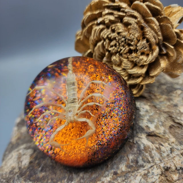 Scorpion Taxidermy Paperweight 2" Goth Christmas Gift Orange Glitter Creepy v10