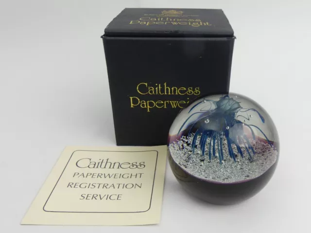 Boxed Caithness Ltd Edition Glass Paperweight 'Nomad'