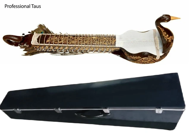 Professionnel Mayuri Veena Paon Forme Corps Instrument Taus Avec Fibre Étui