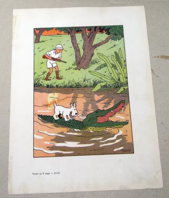 Tintin Herge Hors-Texte Tintin Au Congo  En Tres Tres Bon Etat