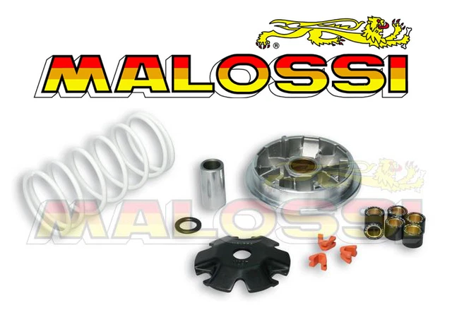 Variateur MALOSSI MULTIVAR Peugeot Speedfight 3 Tweet SYM Symphony 50 4T 5114206