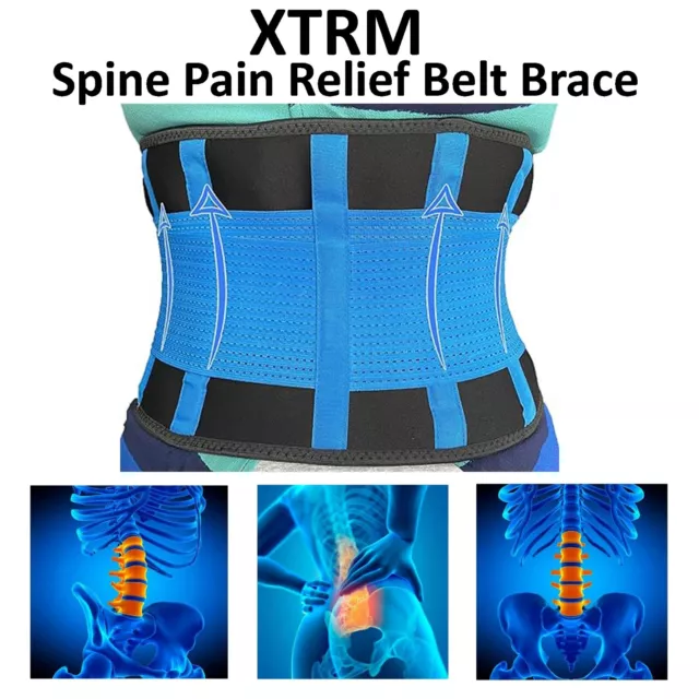 Men Women Lower Back Support Belt Brace for Spine Pain Relief Waist Belt - XTRM