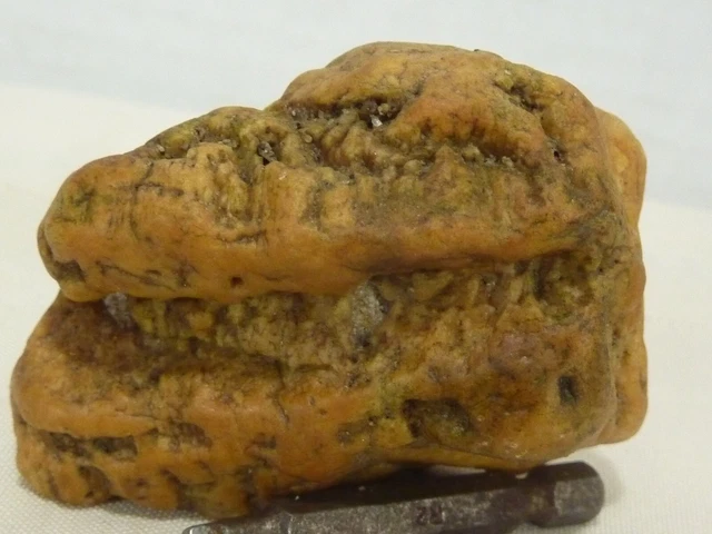 Paleo-American Prehistoric Rockart Multi-tool Effigy