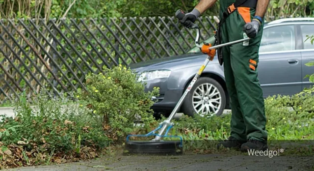 Weedgo! -Die Wildkrautbürste für Motorsensen Unkrautentfernung MIT Ersatzbürsten