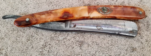 SOLGAR Extrait de graines de marron d’inde 60 gélules - Parapharmacie