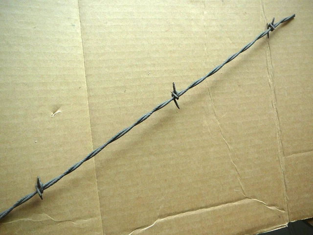 Wings Four Point Barb Around Two Twisted Lines - Antique Barbed Bobbed Wire