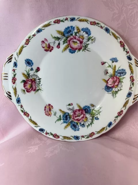 rare antique aynsley field fair bone china england cake plate ✅ 1016 3