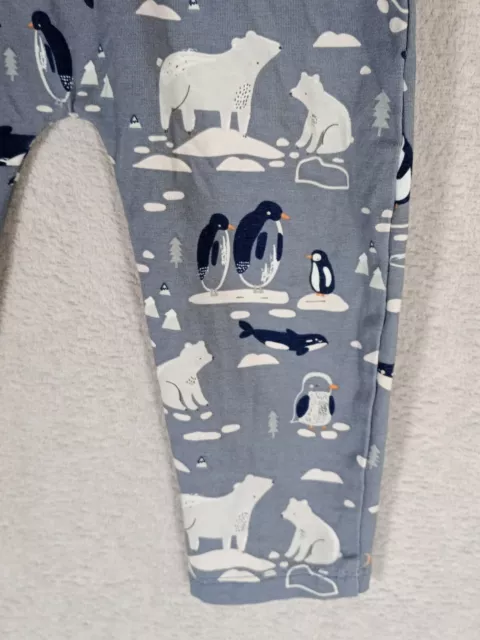 Leggings TU Sainsburys Ragazzo/Ragazza/Unisex Foca Orso Polare Età 12-18 Mesi 3