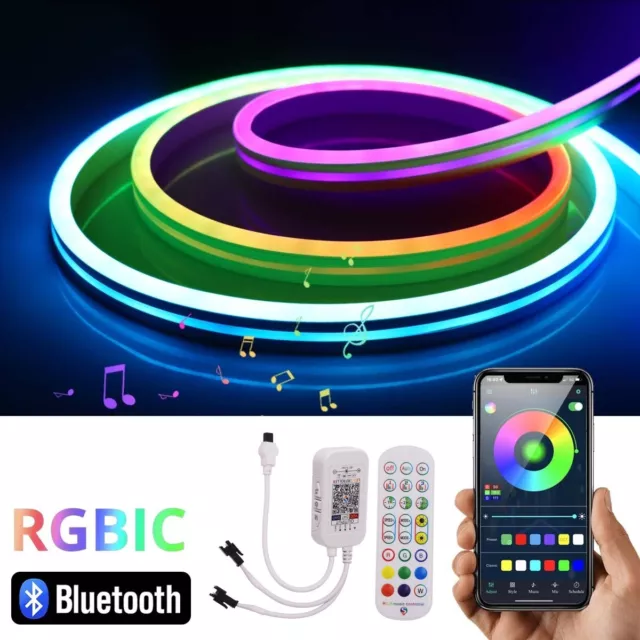 DC12V RGBIC LED Strip Neon Flex Rope Lights Remote Control Bluetooth Music Party