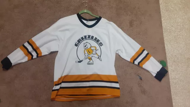 2005-06 David Lundbohm Providence Bruins Game Worn Jersey – AHL Letter