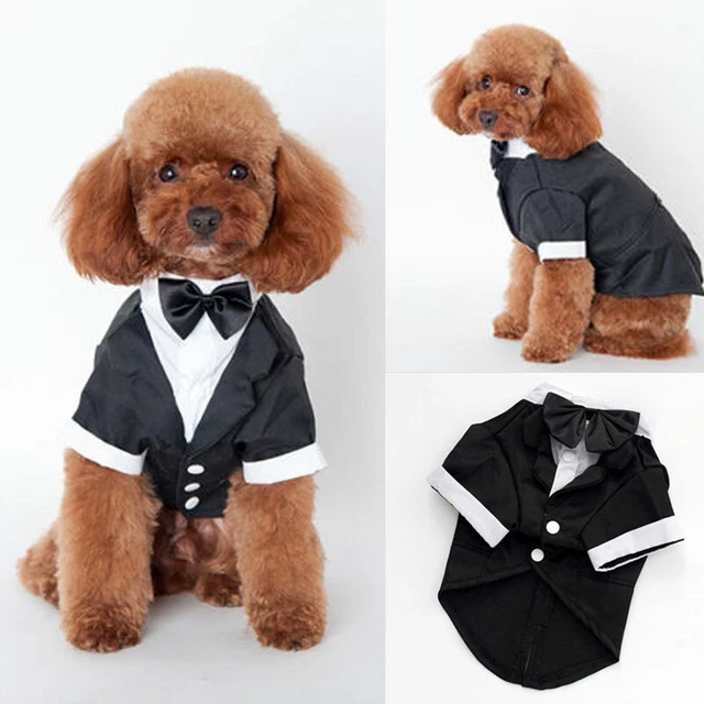 Fashion Pet Dog Cat Clothes Suit Tuxedo Bow Tie Wedding Party Puppy Costume