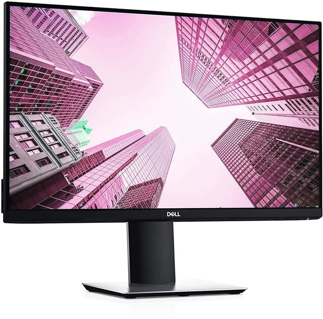 Monitor Dell P2419H 23.8 Zoll    black DEFECT