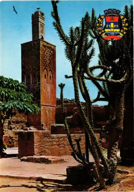 CPM AK Rabat- Armoiries de la Ville et le Chellah MAROC (880678)