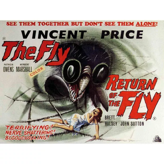 Film Return Of The Fly Vincent Price Sci Fi Horror Sequel Usa Poster