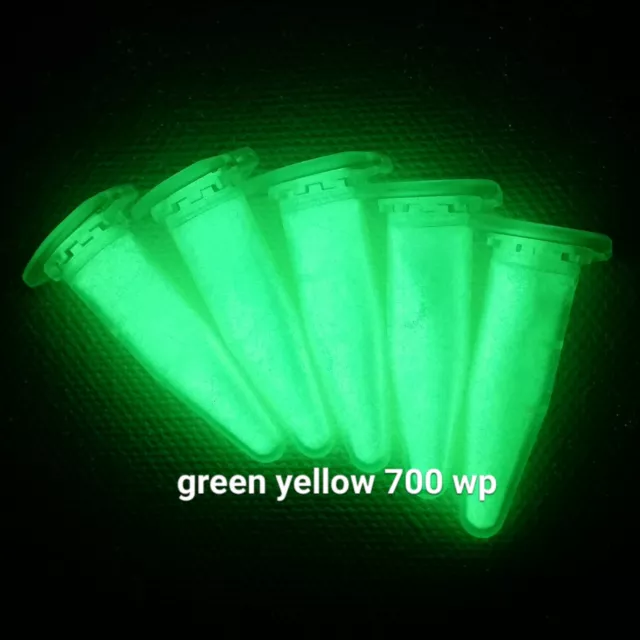 YGW700L 25g GRÜN wasserfest Pigment fluoreszierend Harz Leuchtpigment slime