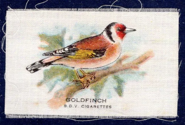 Phillips BDV Seide - VÖGEL - GOLDFINK