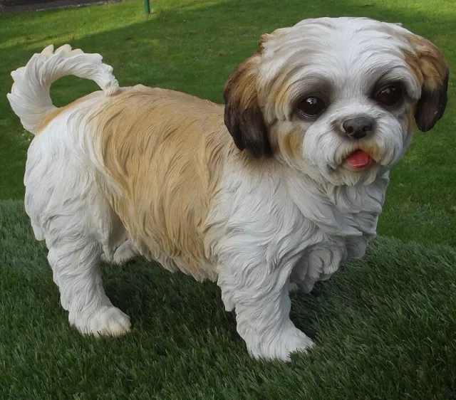 Gartenfigur Hund Shih Tzu 36cm stehend 3429 Garten Deko Figur