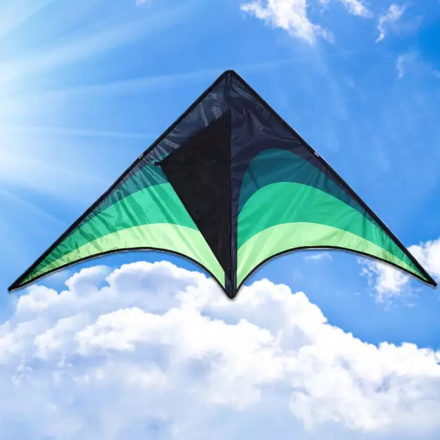 Large Delta Kites with Handle +30M Line Outdoor Toys Gifts For Children Z8V2