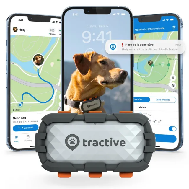 Tractive DOG XL Aventure Collier GPS chien moniteur de santé |Gris RECONDITIONNÉ
