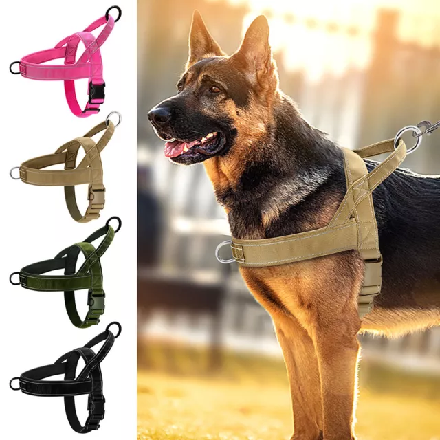 Riflettente Pettorina imbracatura passeggio cane Regolabile con Maniglia S-XL