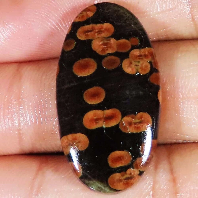 (19x34x06 MM Größe) 31.05 Cts. Natürlich Erdnuss Obsidian Ovale Form Lose