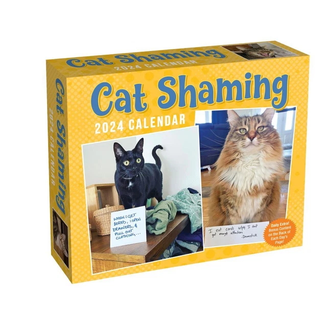 ANDREWS MCMEEL PUBLISHING, Cat Shaming 2024 Desk Calendar 19.41 PicClick