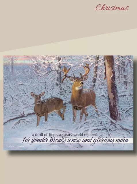 CARD-BOXED-CHRISTMAS-WHITETAIL DEER W/SCRIPTURE (Box Of 12) $13.84 ...