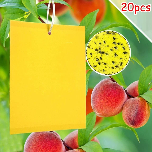 10/20pz 20CM Giallo Serra Appiccicoso Intrappola - Catch Numerose Insetti Pest