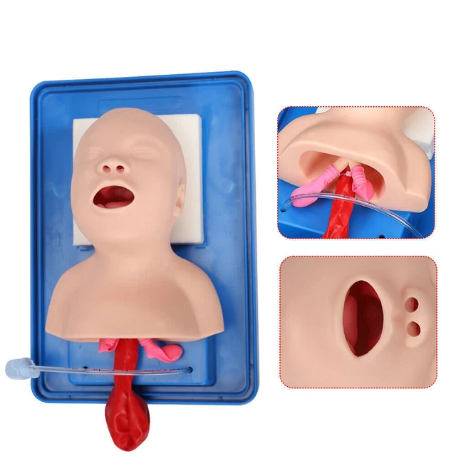 Lab Airway Intubation Manikin Study Infant Model Management Trainer Aid PVC HOT！