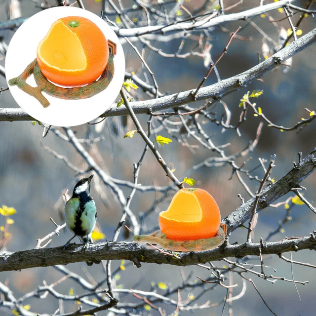 1 pieza Tazón para mascotas Pájaros Comida Plato Alimentador Hámster Pájaros